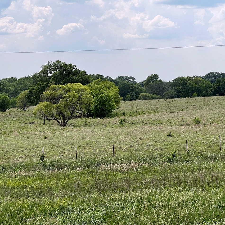 Kansas